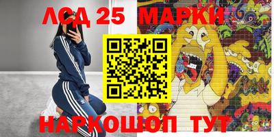 амф Гай