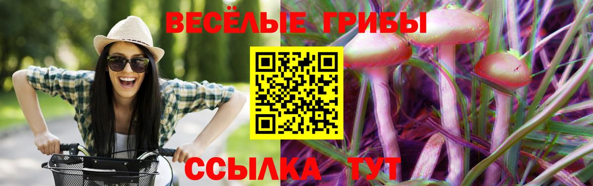 Новозыбков  Галлюциногенные грибы GOLDEN TEACHER  Вход с VPN 